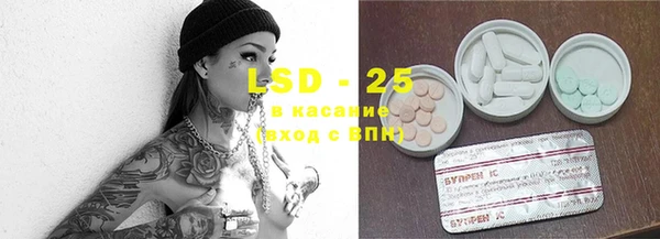 индика Белокуриха