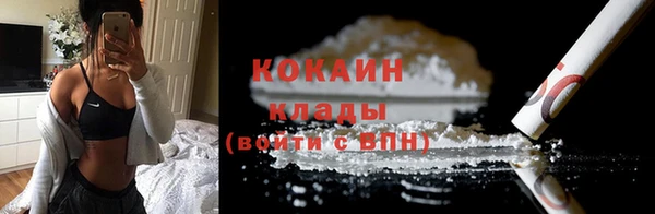 индика Белокуриха