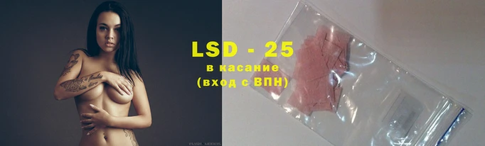 индика Белокуриха