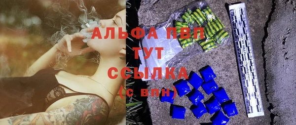 индика Белокуриха