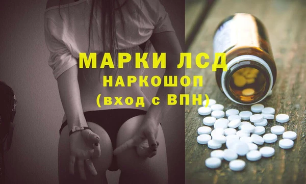 индика Белокуриха