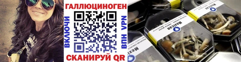 Псилоцибиновые грибы мицелий  Вязники 