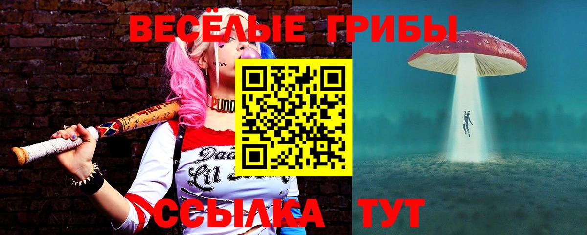 Вязники  Галлюциногенные грибы мицелий  Вход с VPN 