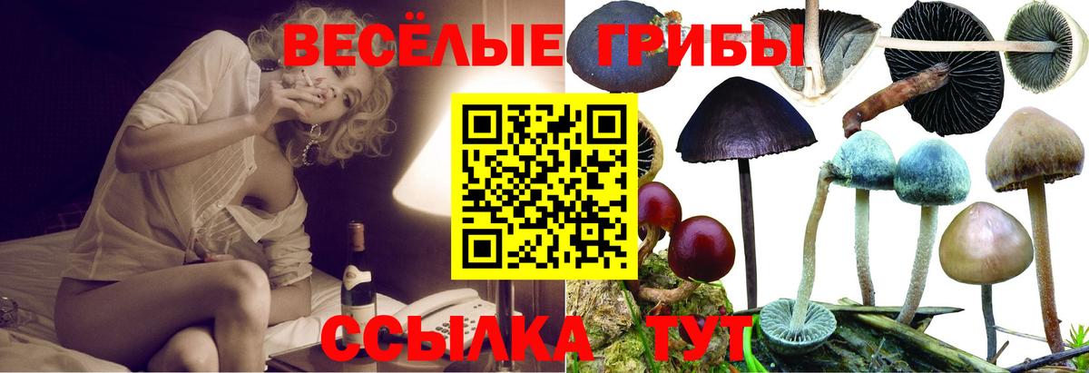 Галлюциногенные грибы прущие грибы Вязники